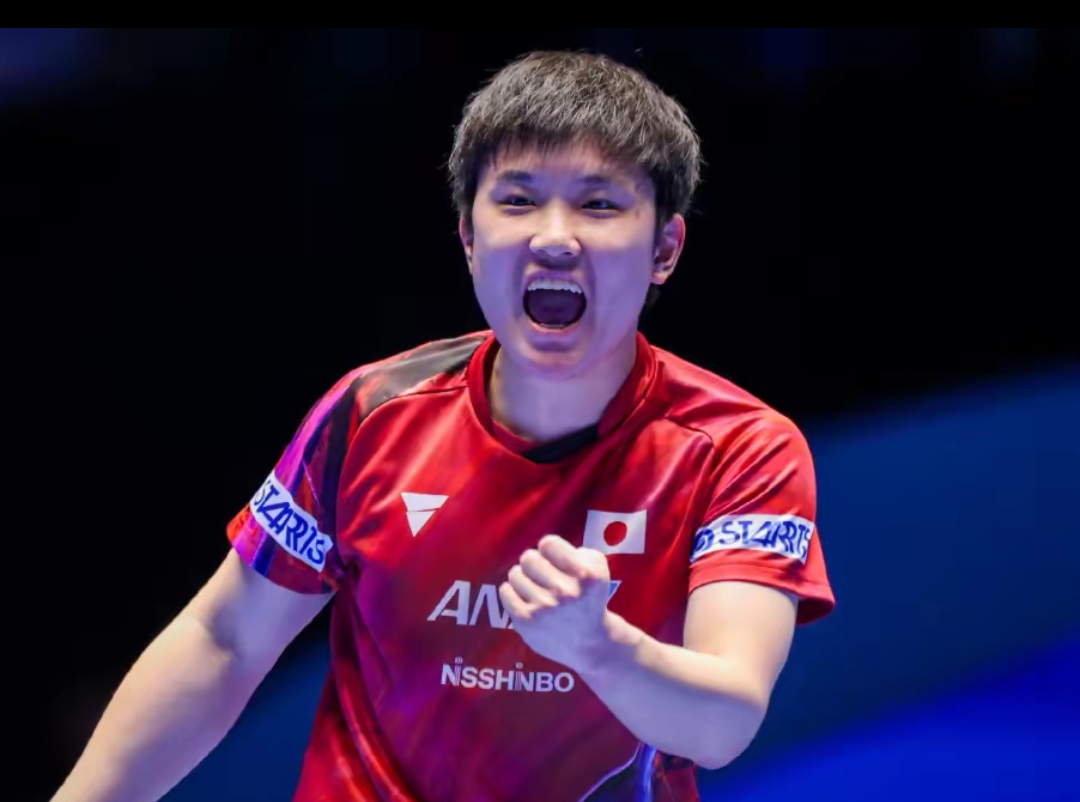 这或许会引 这或许会引