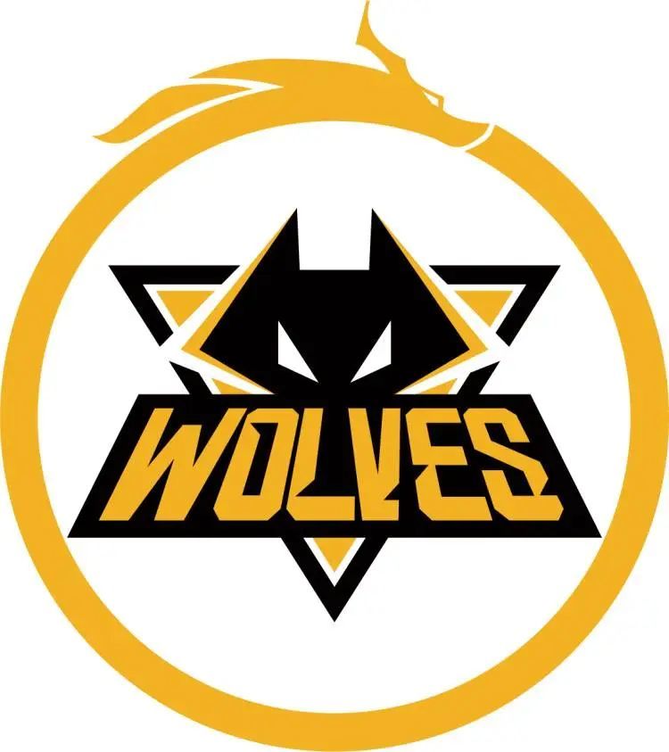 掩护的换防 掩护的换防